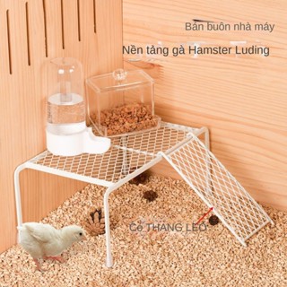  Nhà Sàn Cầu Thang Cho Gà Rutin Nhà Nuôi Gà Rutin Chim Cút Nhà Cho Chuột Hamster Kệ Thức Ăn Cho Gà Rutin 