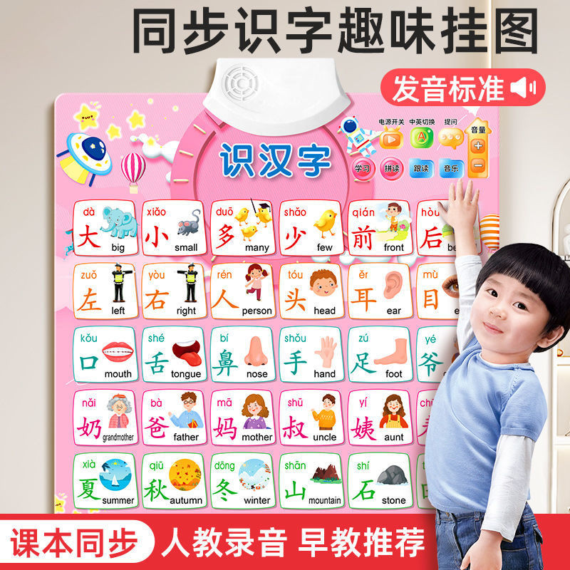 Shop Pinyin Spelling Audio Wall Chart Learning Children Literacy Audio Wall Chart Bảng xếp hạng âm t