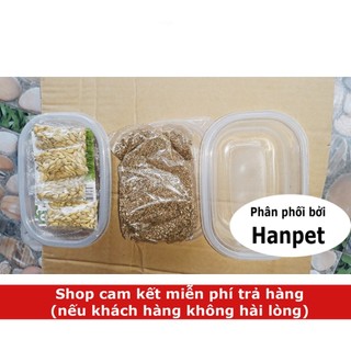 Hạt cỏ mèo Hướng dẫn trồng cỏ mèo tươi hạt lúa mạch