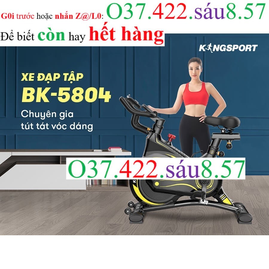 Xe đạp tập KINGSPORT BK-5804 kháng lực từ tính  provip