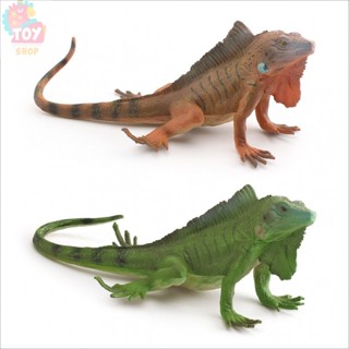 Đồ chơi giáo dục khoa học và giáo dục trẻ em mô phỏng mô hình thằn lằn bò sát Hoang Dã đồ trang trí búp bê kỳ nhông Mỹ