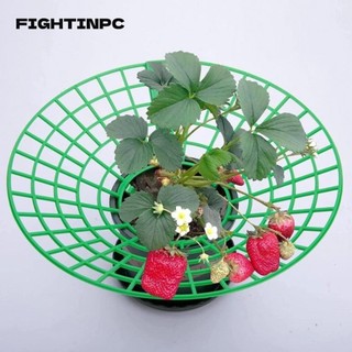 Giá trồng rau FIGHTINPC, Giá đỡ khung bảo vệ Lồng dâu tây Hỗ trợ Giá đỡ khay trồng dâu tây, Giá đỡ trồng cây chắc chắn Giá làm vườn Nhà kính trái cây trong chậu