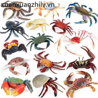 Trẻ Em Mô Phỏng Cua Đồ Chơi Mô Hình Đại Dương Sally Spider King Cua Shuttle Cua Lông Cua Cua Xanh Đồ Trang Trí Cua