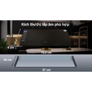 Bếp từ đôi lắp âm BlueStone ICB-6917
