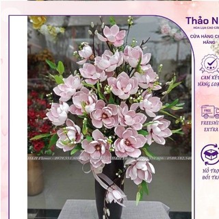 hoa mộc lan 6b