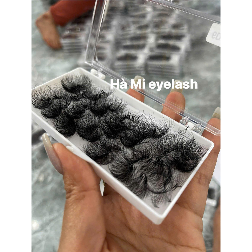 Mi fan sẵn 6D/ 0.07 cong C-CC-D (8mm-16mm) 500fan Hà Mi