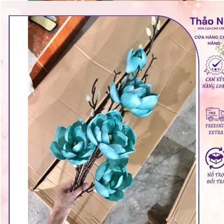 hoa mộc lan 6b