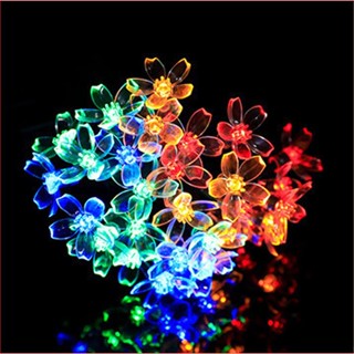  Đèn LED trang trí noel lễ tết  trang trí hoa tặng quà dây bóng tròn vàng ấm không nháy đầu cắm USB tiện lợi 