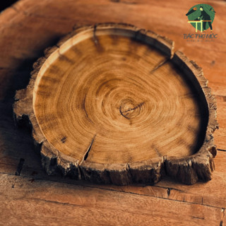 Khay Trà Gỗ Lũa Decor, Đĩa Tròn Đựng Hoa Quả Trang Trí, Tấm Gỗ Đựng Đồ Dùng Trang Trí