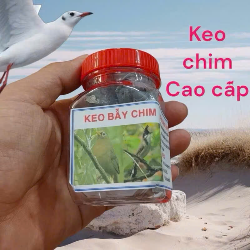  Keo Bẫy Chim Hút Mật Chuyên Chim Sẻ Cu Gáy Không Mùi An Toàn – SOMIA_fishing 