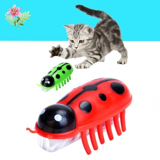 Thú Cưng Mèo Tự Động Ladybird Đồ Chơi Chuyển Động Mèo Đồ Chơi Cho Mèo Kitty Chó Nhỏ Vui Tập Thể Dục Quà Tặng HYCR