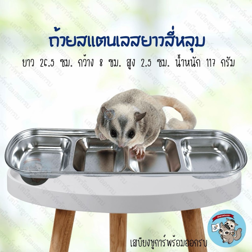 V (Cốc Inox Dài 4 Lỗ) Cốc 4 Lỗ Nước Sữa Thức Ăn Động Vật Nhỏ Thú Cưng Đường Glider Sóc