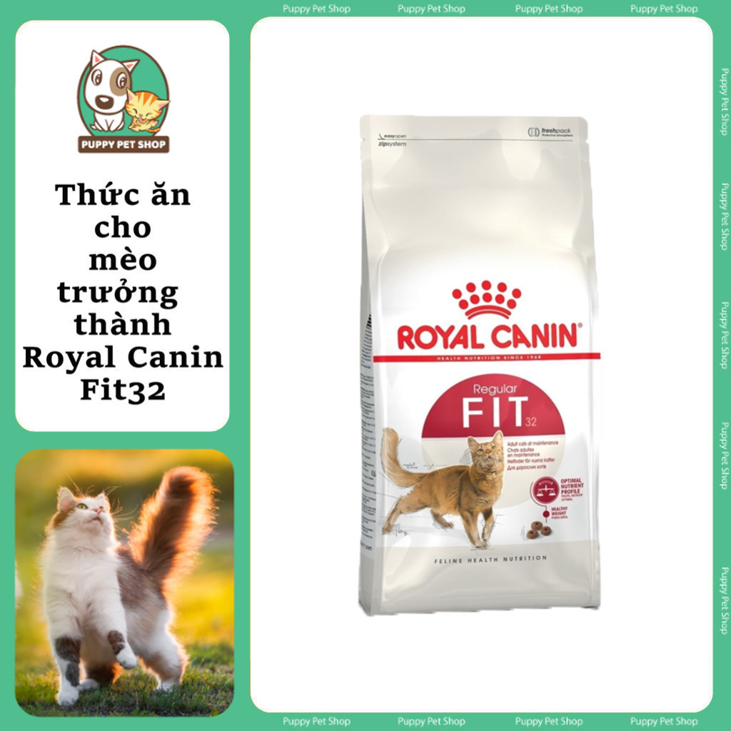 Thức ăn hạt cho mèo trưởng thành 2kg - Royal Canin Fit 32