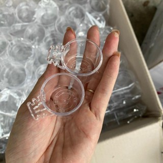 Cóng ăn chim hút mật, khuyên cóng ăn cho chim hút mật cao cấp