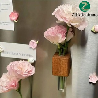 Zhaocaimao Ống nghiệm Bình hoa cảnh Mini cá tính