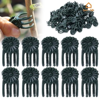 Bộ 50 Hỗ Trợ Cây Cố Định Kẹp - Hoa Lớn Lên Nhánh Kẹp - Trang Trại Trang Trại Trái Cây Cây Thân Kẹp