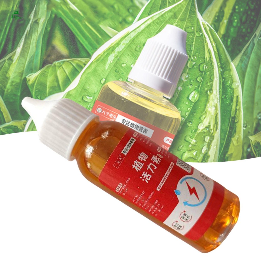 Chai rễ làm vườn Auxin Thành phần tự nhiên Thúc đẩy rễ cây trồng