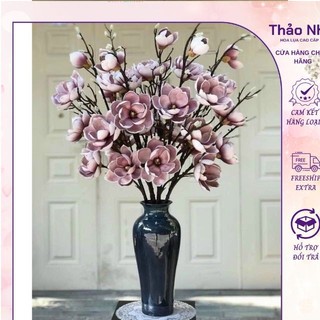 hoa mộc lan 6b