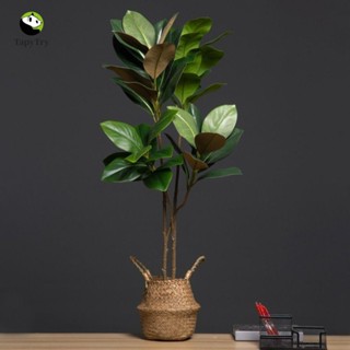 Nhánh cây mộc lan mô phỏng ALISON, 2 phuộc lớn Cây mộc lan nhân tạo, Lá cao su 110cm sáng tạo Cây nhân tạo thủ công Trang trí máy tính để bàn