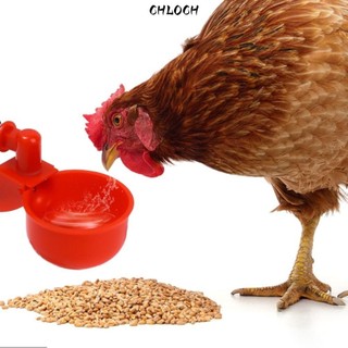 CHLOCH 6 / 12 Chiếc Tự Động Uống Nước, Bát Uống Gà Nhựa Môi Trường, Di Động Thiết Thực Dễ Dàng Lắp Đặt Cốc Uống Gà Cho Gia Cầm