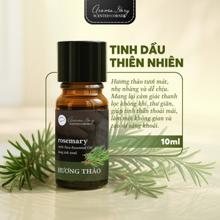 Tinh Dầu Thiên Nhiên Hương Hương Thảo Aroma Story Nguyên Chất – Xông Phòng, Thư Giãn, Ngủ Ngon 10ml
