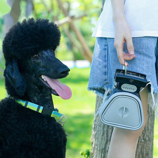 Muỗng Pooper có thể gập lại Pet Pooper Scooper Muỗng cho chó di động có túi có thể phân hủy Công cụ làm sạch thú cưng dễ dàng để du lịch Xẻng nhặt rác có thể gập lại để làm sạch