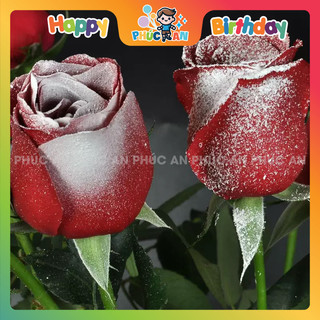Bình xịt bọt tuyết trắng sinh nhật hpbd phụ kiện sinh nhật Phúc An