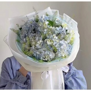[Hỏa tốc HÀ NỘI] Bó hoa tươi cẩm tú cầu tặng tốt nghiệp, sinh nhật.... giao hỏa tốc
