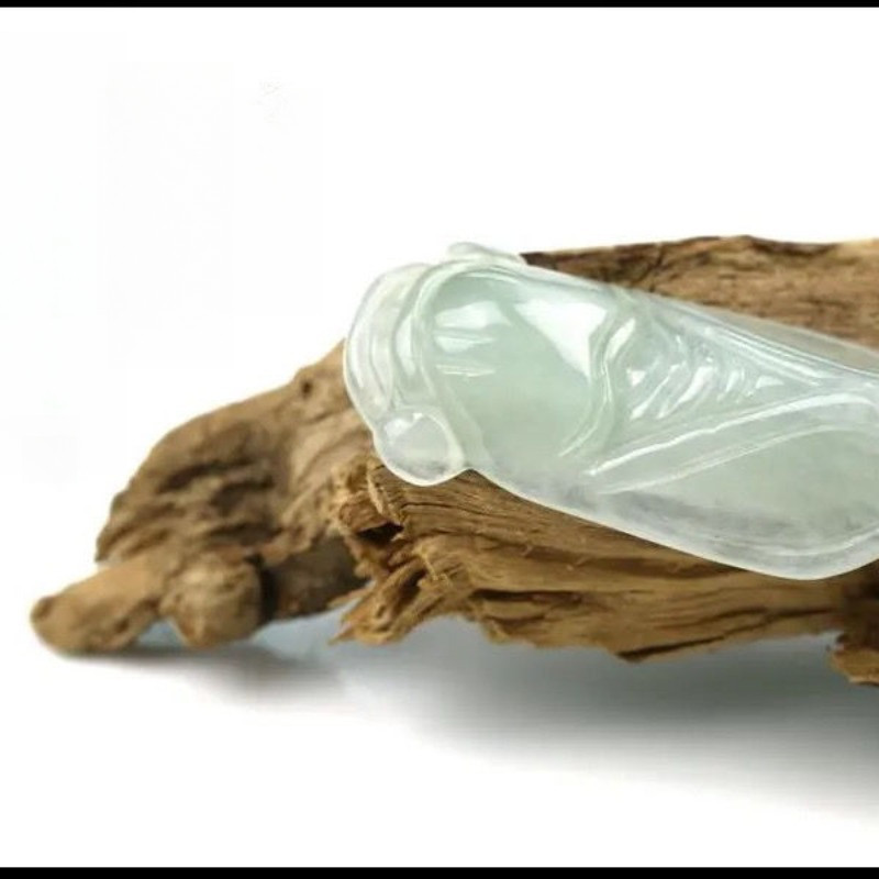 Ngọc Cicada Biết Mặt Dây Chuyền Thịnh Vượng Sự Nghiệp Học Thuật Mặt Dây Chuyền Khuyến Mãi Quà Tặng C