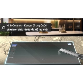 Bếp từ đôi lắp âm BlueStone ICB-6917