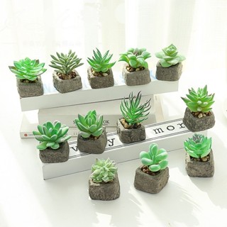 Cây sen đá giả mini kèm chậu giống thật, cây giả mini nhân tạo trang trí nhà cửa, decor phòng, tiểu cảnh