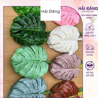 Lá rùa cao 60cm chất liệu nhựa cao cấp Decor Decor Phòng Trang Trí Nhà