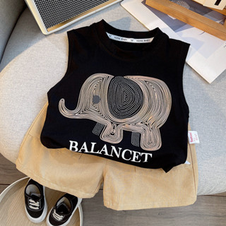 Quần Áo Trẻ Em Thường Ngày Phù Hợp Với Mùa Hè Bé Trai Và Bé Gái Bộ Đồ Thể Thao Cá Tính In Hình Voi Không Tay Áo Quần Short Hai Mảnh Bộ