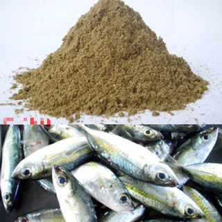 1kg Bột Cá Xay Làm Thức Ăn Cho Gà Bột Cá Xay Làm Mồi Câu Cá Bột Cá Tanh Làm Thức Ăn Cho Cá Bột Cá Xay Làm Cám Viên 
