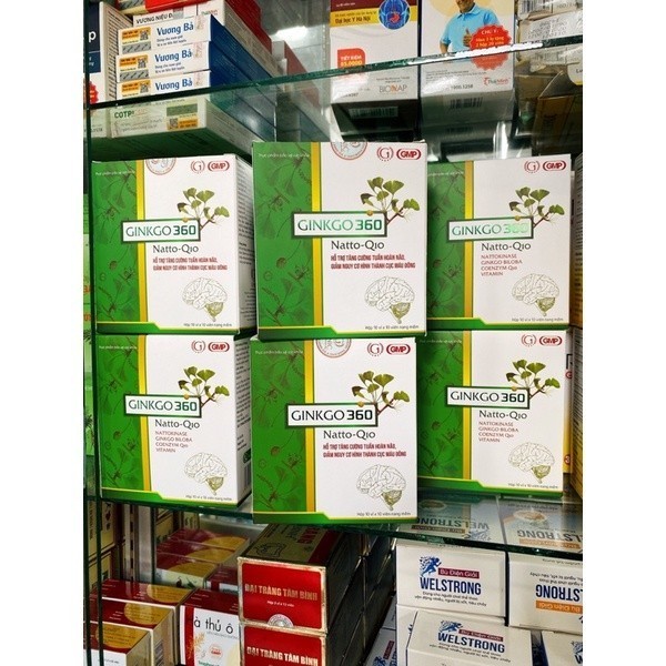 TĂNG CƯỜNG TUẦN HOÀN VÀ LƯU THÔNG MẠCH MÁU NÃO Ginkgo biloba 360 - hộp 100v