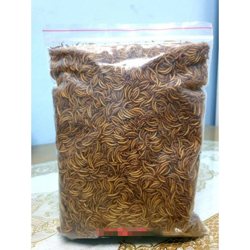 100g Sâu Gạo Khô Cho Chuột Sâu Khô Cho Gà Con Sâu Khô Cho Cá Sâu Gạo Cho Chim Thức ăn Sâu Khô