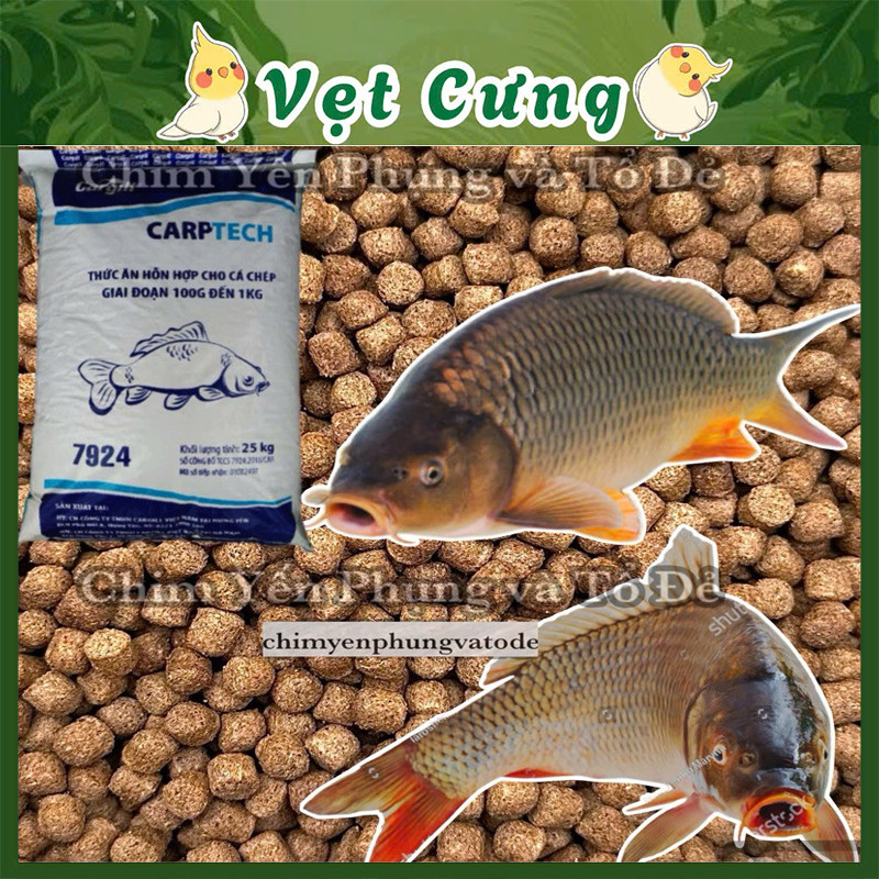 1kg Cám Cá Chép Cargill 7924 – Thức Ăn Dinh Dưỡng Hoặc Mồi Câu Cá Chép