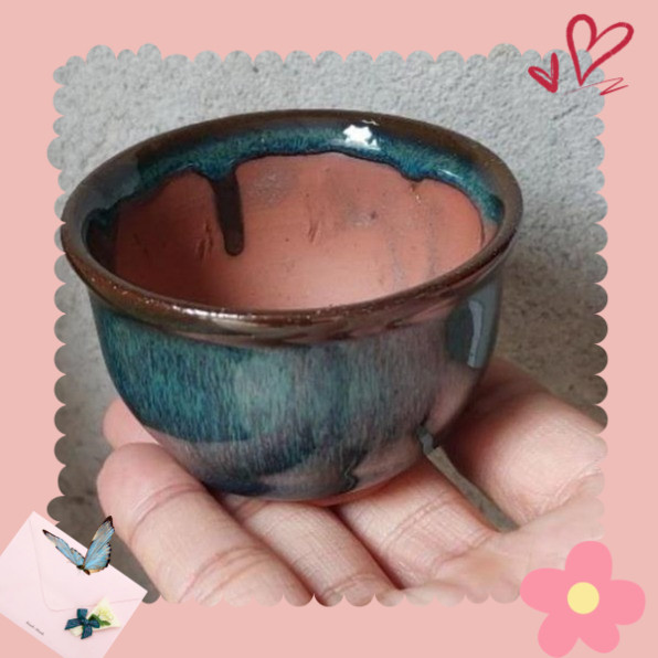 BS11 Chậu Bát Tràng  chậu trồng sen đá mini, xương rồng men hỏa biến