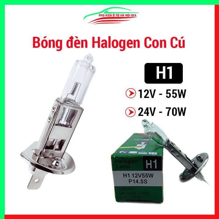 Bóng đèn Halogen con cú H1 hai loại 12V/ 24V