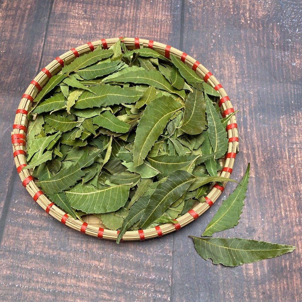 Lá neem Ấn Độ sấy khô Thảo mộc gội đầu cây xoan Ấn Độ Lá Nem bột Lá Neem Ấn Độ NEM