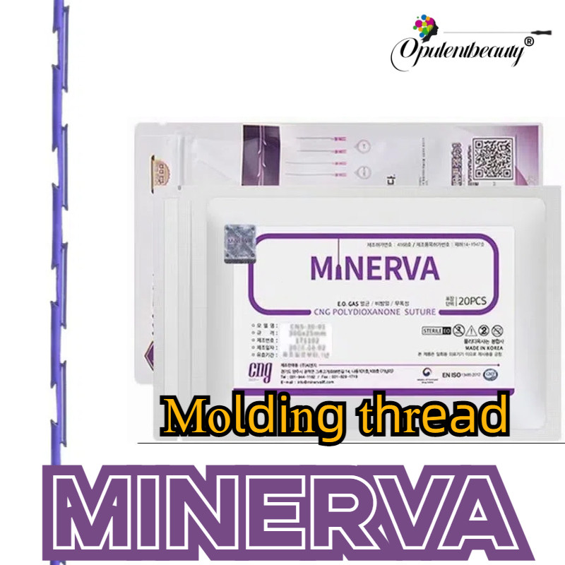 2025 SKY-34AR-PD0 pdo Battle Bivolt LED Đèn Tường 9w 3000K 1.6x60cm PCL Vàng Đèn Pin