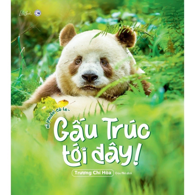 Sách Tranh - Gấu Trúc Tới Đây - Amak