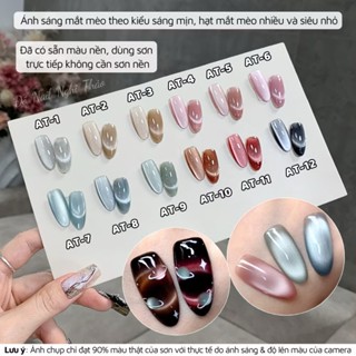 Lẻ sơn gel mắt mèo RAMYLA ánh trăng cực quang 15ml của bảng 12 màu (Chai) sơn móng gel UV làm nail