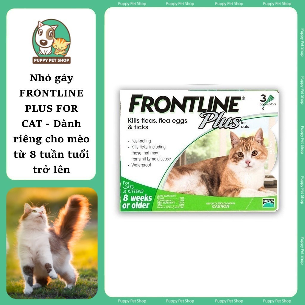 Frontline Plus For Cat Nhỏ Gáy Phòng Và Trị Ve Rận Bọ Chét Cho Mèo