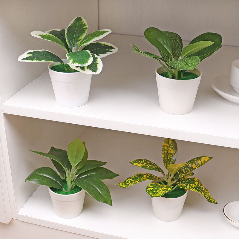  Chậu Cây Giả Lá Xanh 16cm – Trang Trí Nhà Cửa Văn Phòng Cây Bonsai Mini Giảm Mệt Mỏi 