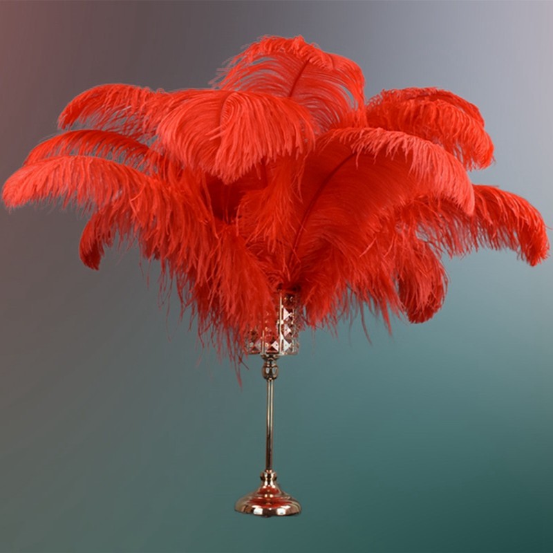 Trang trí lông đà điểu màu đỏ 25-50cm 10-20 inch Lông vũ màu đỏ Thủ công mũ Bình hoa ở giữa bàn Trun