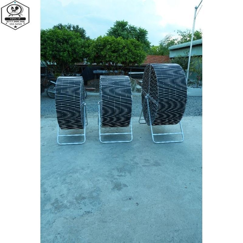 lồng chạy tròn tập lực gà chọi