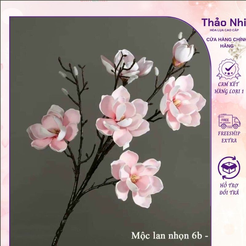 hoa mộc lan 6b