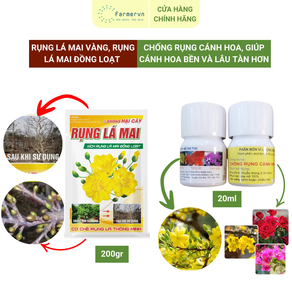 Combo Rụng Lá Mai Vàng, Rụng Lá Mai Đồng Loạt + Chống Rụng Cánh Hoa Đại Học Cần Thơ, Hoa Bền Lâu Tàn