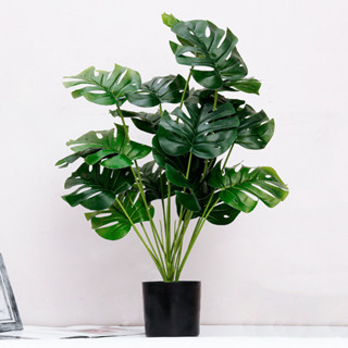 Cây giả, cây nhựa trang trí, trầu bà monstera giả, lá rùa giả giống thật decor nội thất, tiểu cảnh